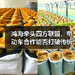 鸿海牵头四方联盟,电动车合作能否打破传统车企困局?(图4) 鸿海牵头四方联盟,电动车合作能否打破传统车企困局?(图4)