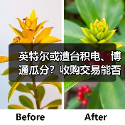 英特尔或遭台积电、博通瓜分？收购交易能否成真？（图4）