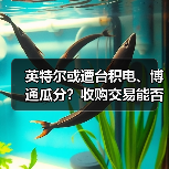 英特尔或遭台积电、博通瓜分？收购交易能否成真？（图3）