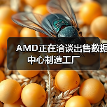 AMD正在洽谈出售数据中心制造工厂(图1) AMD正在洽谈出售数据中心制造工厂(图1)
