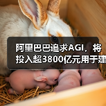 阿里巴巴追求AGI，将投入超3800亿元用于建设云和AI硬件基础设施（图1）