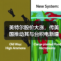 英特尔股价大涨,传美国推动其与台积电新建晶圆厂(图4) 英特尔股价大涨,传美国推动其与台积电新建晶圆厂(图4)