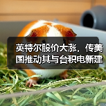 英特尔股价大涨,传美国推动其与台积电新建晶圆厂(图1) 英特尔股价大涨,传美国推动其与台积电新建晶圆厂(图1)