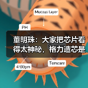 董明珠：大家把芯片看得太神秘，格力造芯是中国制造企业的担当（图4）