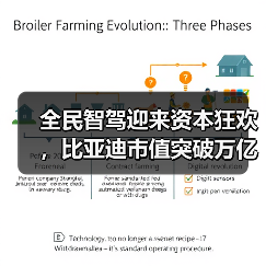 全民智驾迎来资本狂欢,比亚迪市值突破万亿(图1) 全民智驾迎来资本狂欢,比亚迪市值突破万亿(图1)