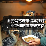 全民智驾迎来资本狂欢,比亚迪市值突破万亿(图2) 全民智驾迎来资本狂欢,比亚迪市值突破万亿(图2)