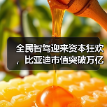 全民智驾迎来资本狂欢,比亚迪市值突破万亿(图4) 全民智驾迎来资本狂欢,比亚迪市值突破万亿(图4)
