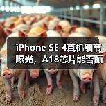 iPhone SE 4真机细节曝光,A18芯片能否颠覆中端市场?(图1) iPhone SE 4真机细节曝光,A18芯片能否颠覆中端市场?(图1)