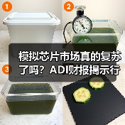 模拟芯片市场真的复苏了吗？ADI财报揭示行业新动向（图1）