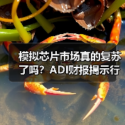 模拟芯片市场真的复苏了吗？ADI财报揭示行业新动向（图3）