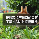 模拟芯片市场真的复苏了吗？ADI财报揭示行业新动向（图2）