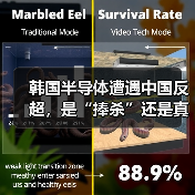 韩国半导体遭遇中国反超，是“捧杀”还是真实危机？（图2）