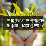 三星手机生产线或将迁出中国,印度成应对关税新选择(图3) 三星手机生产线或将迁出中国,印度成应对关税新选择(图3)