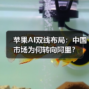 苹果AI双线布局：中国市场为何转向阿里？（图4）