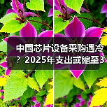 中国芯片设备采购遇冷？2025年支出或缩至380亿美元（图3）