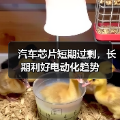 汽车芯片短期过剩,长期利好电动化趋势(图1) 汽车芯片短期过剩,长期利好电动化趋势(图1)