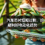 汽车芯片短期过剩,长期利好电动化趋势(图2) 汽车芯片短期过剩,长期利好电动化趋势(图2)