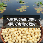 汽车芯片短期过剩,长期利好电动化趋势(图4) 汽车芯片短期过剩,长期利好电动化趋势(图4)