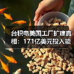 台积电美国工厂扩建真相：171亿美元投入能否应对全球芯片需求？（图1）