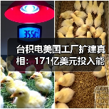 台积电美国工厂扩建真相：171亿美元投入能否应对全球芯片需求？（图3）