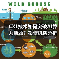 CXL技术如何突破AI算力瓶颈?投资机遇分析(图2) CXL技术如何突破AI算力瓶颈?投资机遇分析(图2)