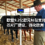 欧盟9.2亿欧元补贴支持芯片厂建设,强化欧洲数字主权(图2) 欧盟9.2亿欧元补贴支持芯片厂建设,强化欧洲数字主权(图2)