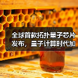 全球首款拓扑量子芯片发布，量子计算时代加速到来（图1）