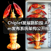 Chiplet发展新阶段 Arm发布系统架构公开规范（图3）