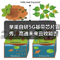 苹果自研5G基带芯片首秀，高通未来营收能否扛住？（图2）