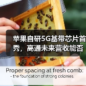 苹果自研5G基带芯片首秀，高通未来营收能否扛住？（图3）