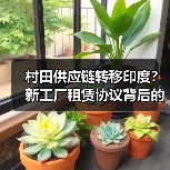村田供应链转移印度？新工厂租赁协议背后的战略布局（图2）