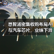 恩智浦密集收购布局AI与汽车芯片,业绩下滑引裁员风波(图2) 恩智浦密集收购布局AI与汽车芯片,业绩下滑引裁员风波(图2)