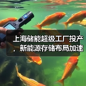 上海储能超级工厂投产，新能源存储布局加速（图1）