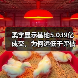 柔宇显示基地5.039亿成交，为何远低于评估价？（图1）