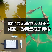 柔宇显示基地5.039亿成交，为何远低于评估价？（图4）