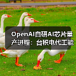 OpenAI自研AI芯片量产进程:台积电代工能否撼动英伟达?(图3) OpenAI自研AI芯片量产进程:台积电代工能否撼动英伟达?(图3)