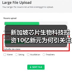 新加坡芯片生物科技投资10亿新元为何引关注?(图3) 新加坡芯片生物科技投资10亿新元为何引关注?(图3)