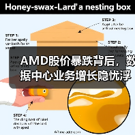 AMD股价暴跌背后,数据中心业务增长隐忧浮现(图1) AMD股价暴跌背后,数据中心业务增长隐忧浮现(图1)