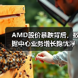 AMD股价暴跌背后,数据中心业务增长隐忧浮现(图2) AMD股价暴跌背后,数据中心业务增长隐忧浮现(图2)