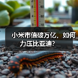小米市值破万亿,如何力压比亚迪?(图2) 小米市值破万亿,如何力压比亚迪?(图2)