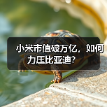 小米市值破万亿,如何力压比亚迪?(图4) 小米市值破万亿,如何力压比亚迪?(图4)