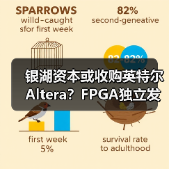 银湖资本或收购英特尔Altera？FPGA独立发展引关注（图1）