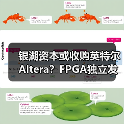 银湖资本或收购英特尔Altera？FPGA独立发展引关注（图3）