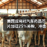 美国或将对汽车药品芯片加征25%关税,冲击全球贸易关系(图3) 美国或将对汽车药品芯片加征25%关税,冲击全球贸易关系(图3)