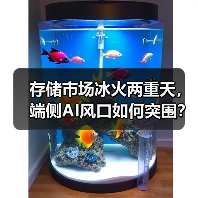 存储市场冰火两重天,端侧AI风口如何突围?(图3) 存储市场冰火两重天,端侧AI风口如何突围?(图3)