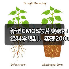 新型CMOS芯片突破神经科学限制，实现2000大鼠神经元全图谱绘制（图2）