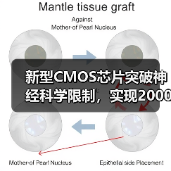 新型CMOS芯片突破神经科学限制，实现2000大鼠神经元全图谱绘制（图4）