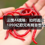 法国AI战略:如何通过1090亿欧元布局重塑全球竞争力?(图4) 法国AI战略:如何通过1090亿欧元布局重塑全球竞争力?(图4)