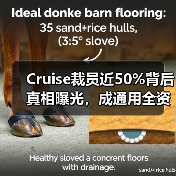 Cruise裁员近50%背后真相曝光，成通用全资子公司（图4）