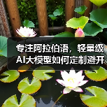 专注阿拉伯语，轻量级AI大模型如何定制避开行业竞争？（图1）